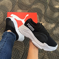 Têmis Puma 34 ao 39